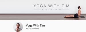 Read more about the article The 3 Best Yoga Channels on Youtube