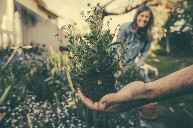 5 Ways to Ground Yourself