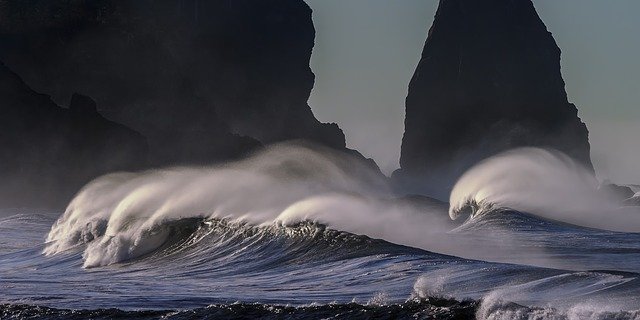 surf and yoga