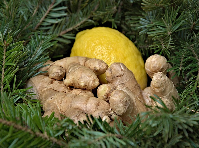 Lemon Ginger Water Kefir