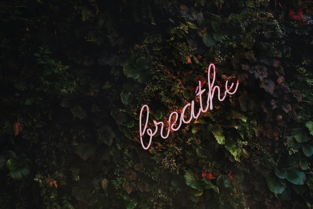 Read more about the article How To: Yogic Breathing Technique
