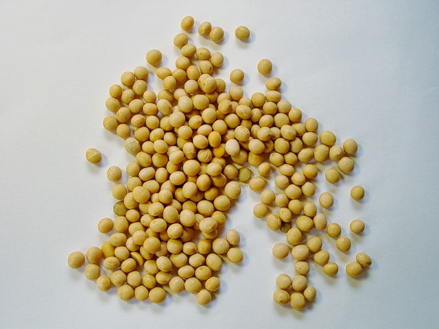 soy beans to make soy milk