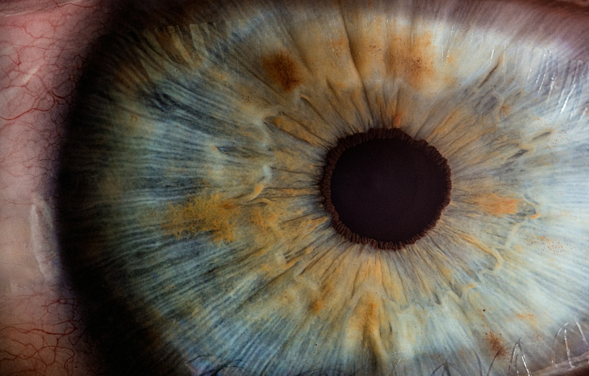How to improve your eye health